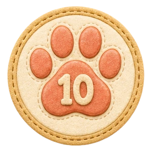 10回歩いた