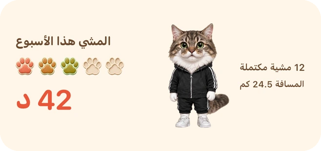 لقطة فعلية من التطبيق: أداة الشاشة الرئيسية