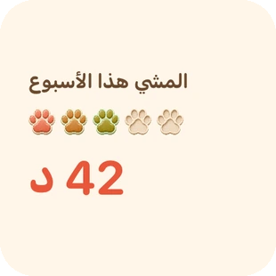 لقطة فعلية من التطبيق: أداة الشاشة الرئيسية