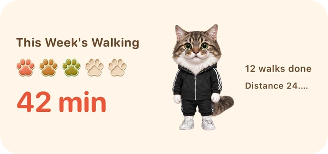 Actual app screen: Widget
