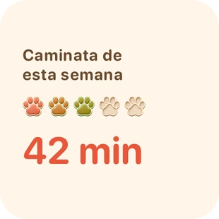 Pantalla real de la app: widget