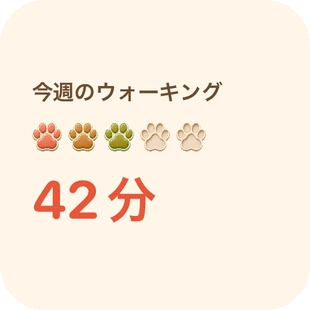 アプリの実際の画面：ウィジェット