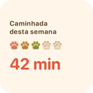 Tela real do app: widget
