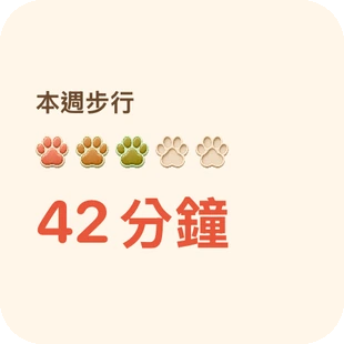 App 實際畫面：小工具